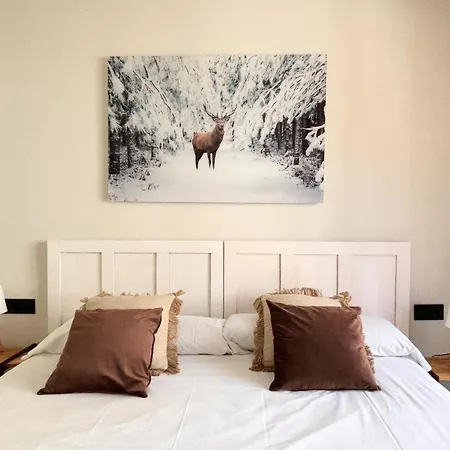 Apartment Aneto - Confort Moderno En El Corazon De