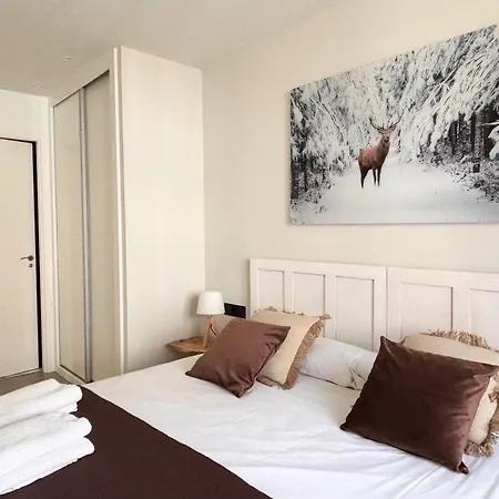 Aneto - Confort Moderno En El Corazon De Apartment *